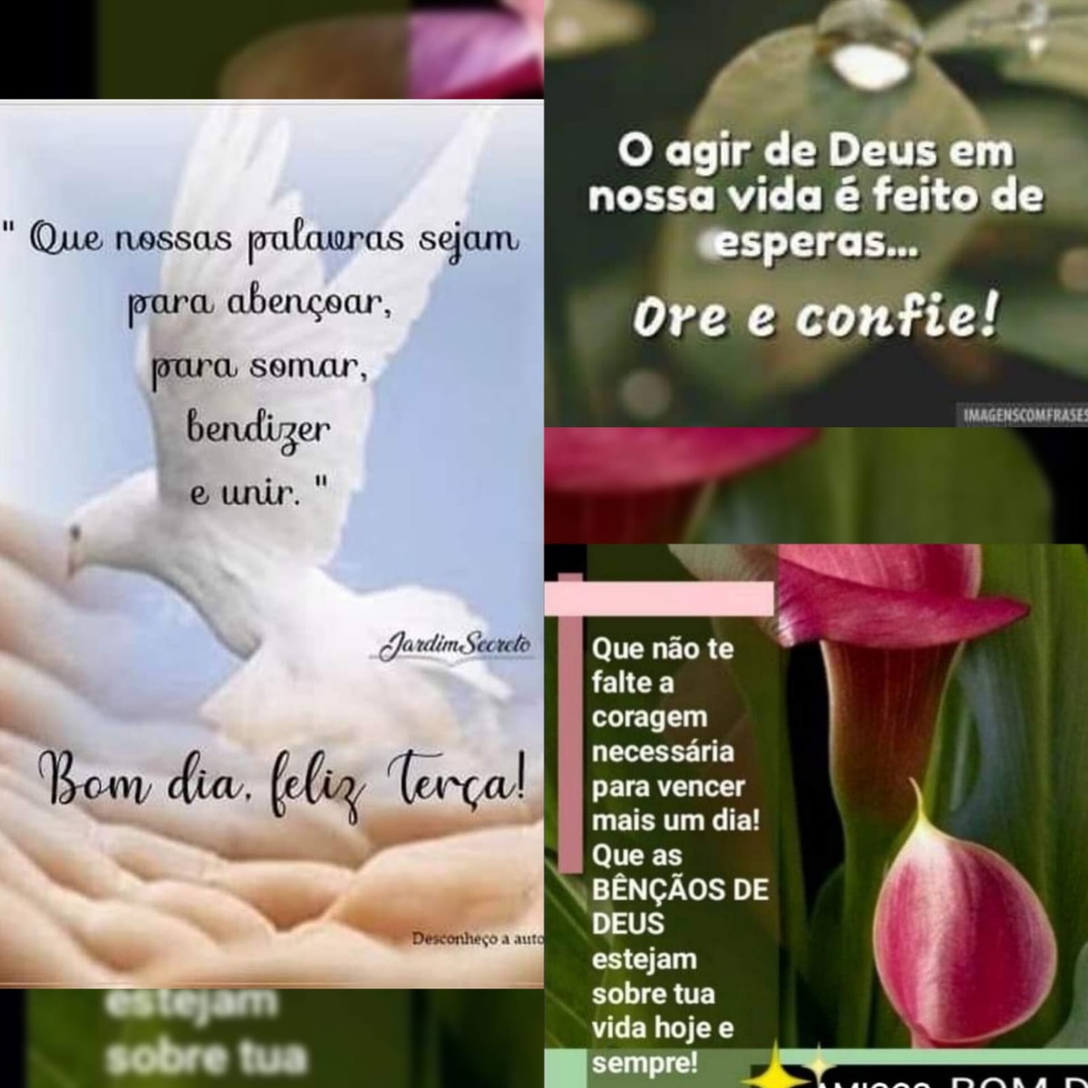 Pensamento do dia