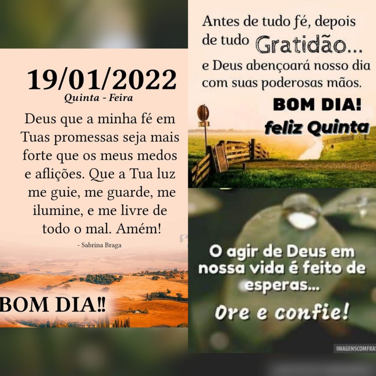 Pensamento do dia