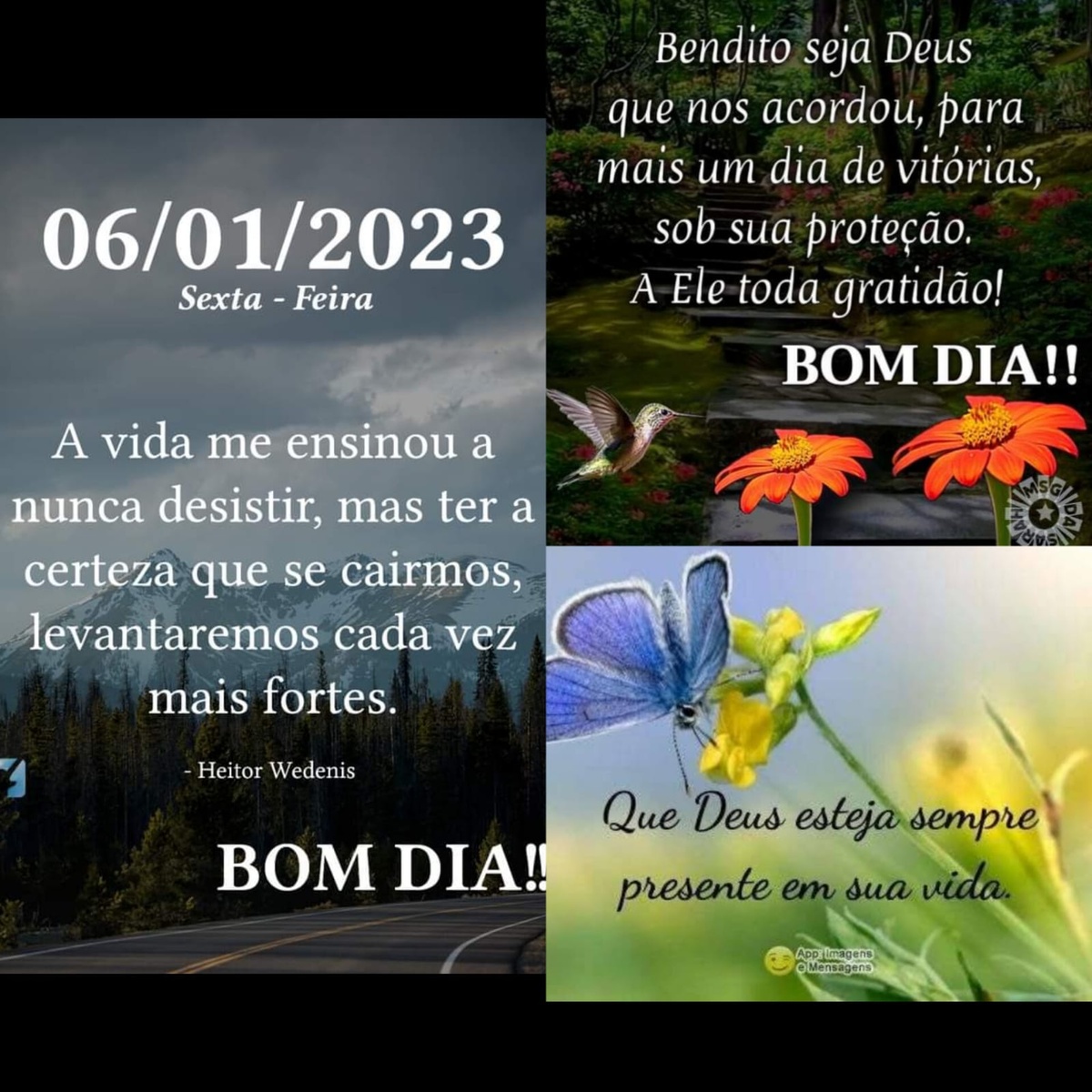 Pensamento do dia