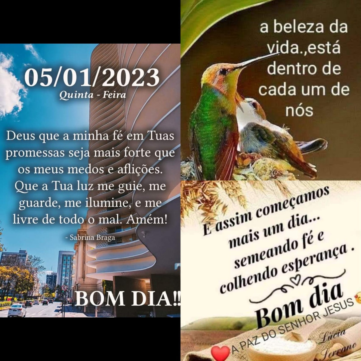 pensamento do dia