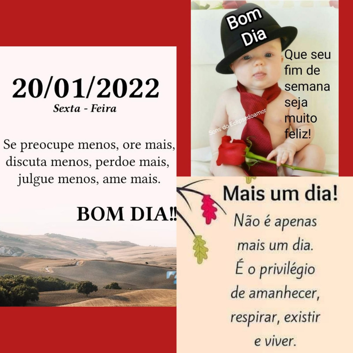 Pensamento do dia