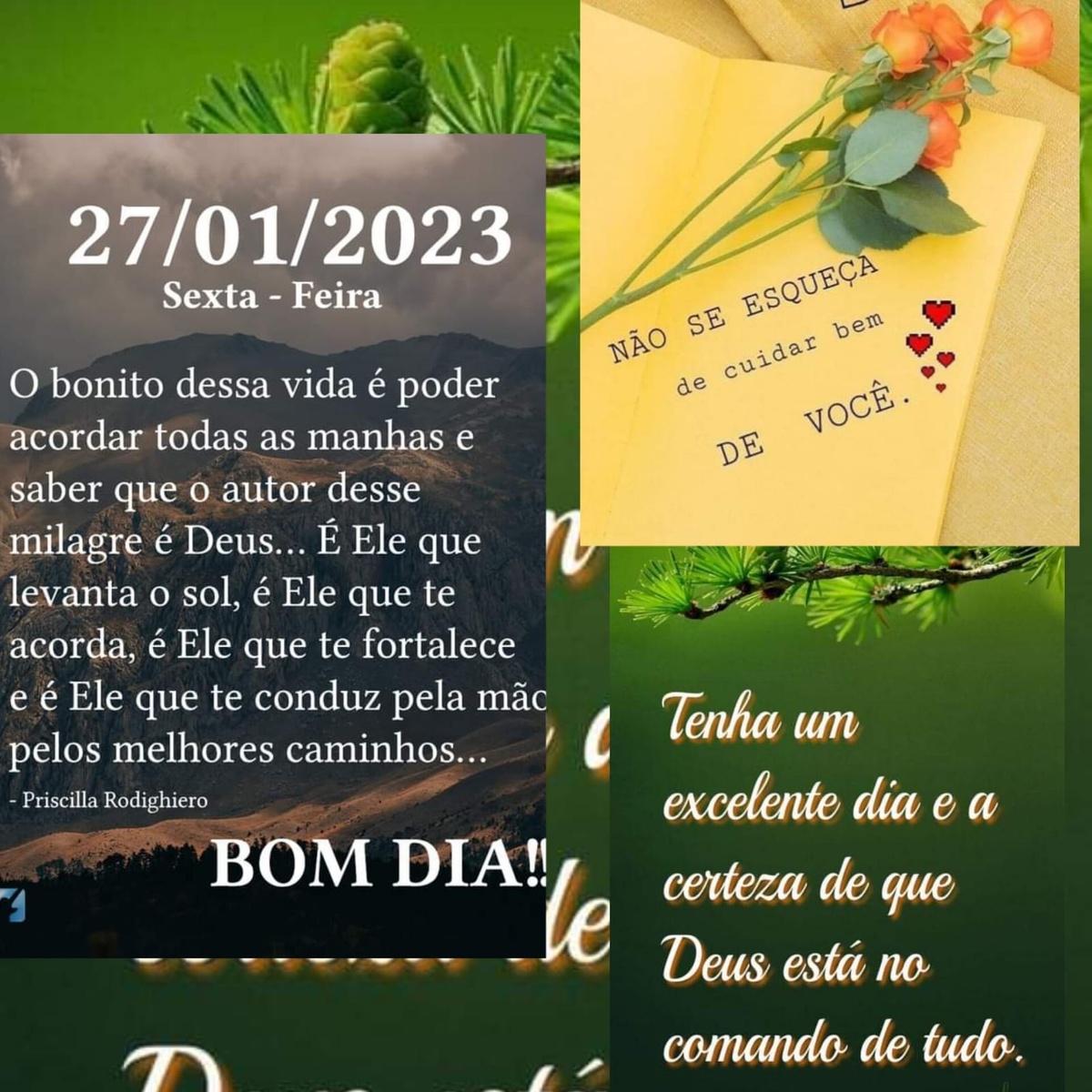 Pensamento do dia