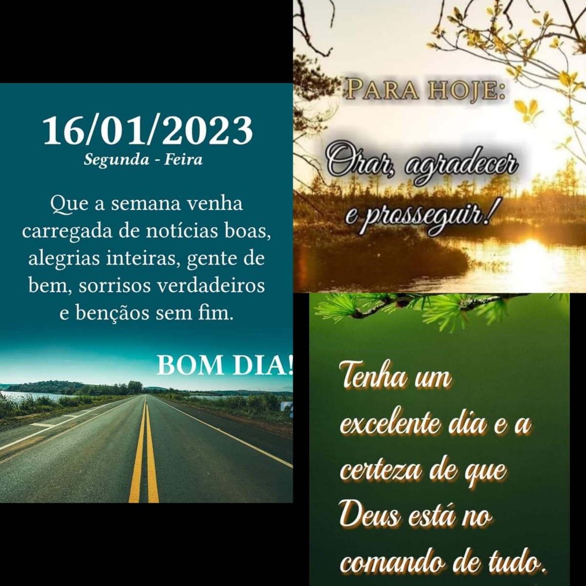 Pensamento do dia