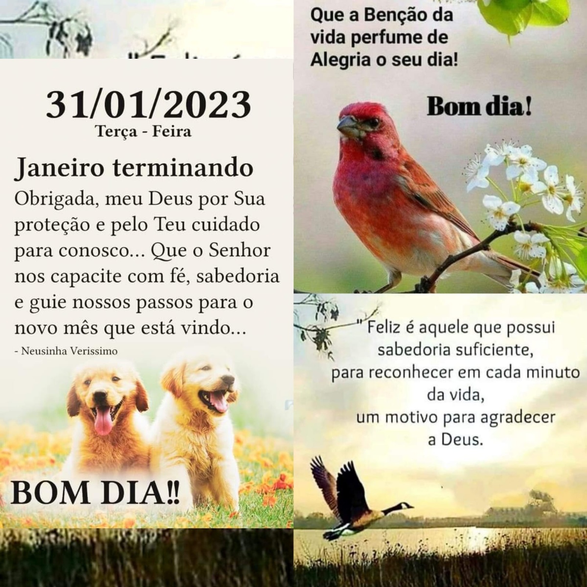 Pensamento do dia