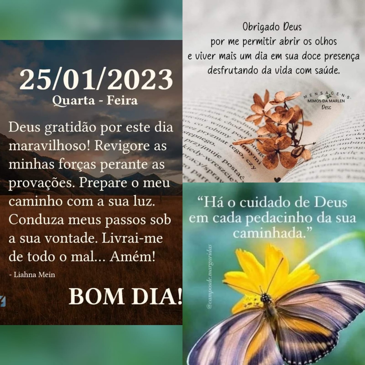 Pensamento do dia