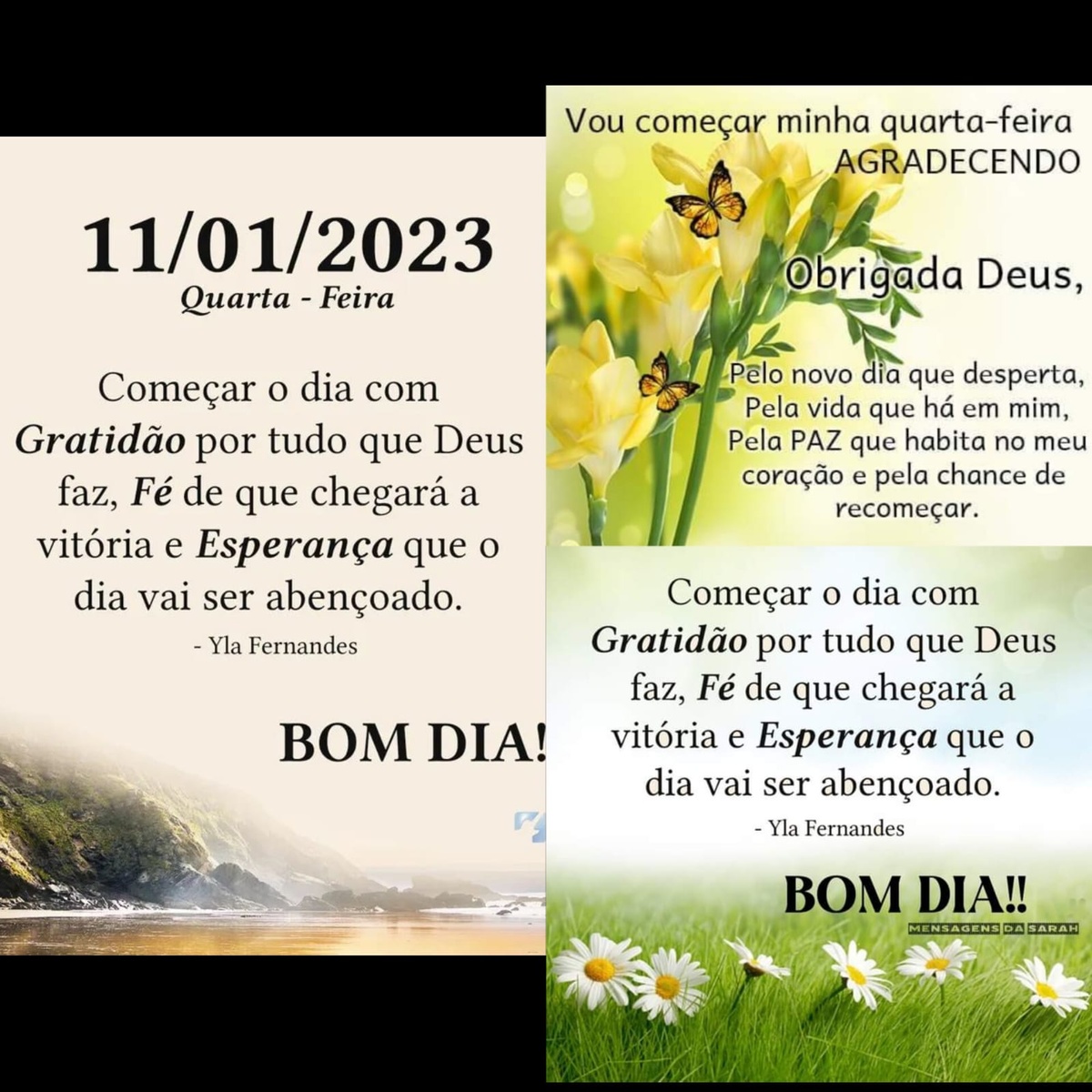 Pensamento do dia