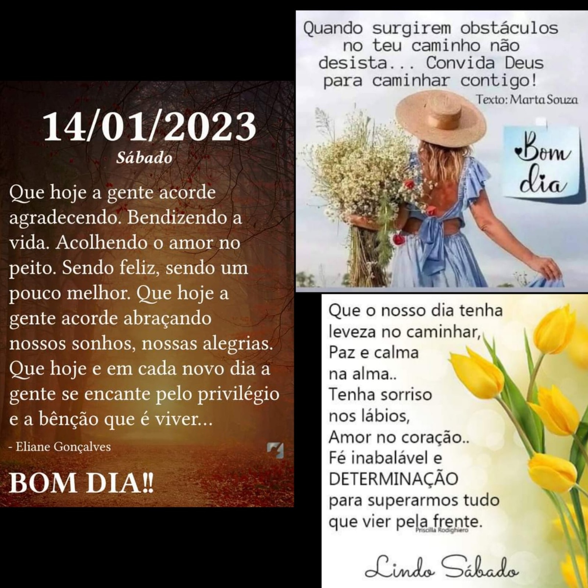 Pensamento do dia