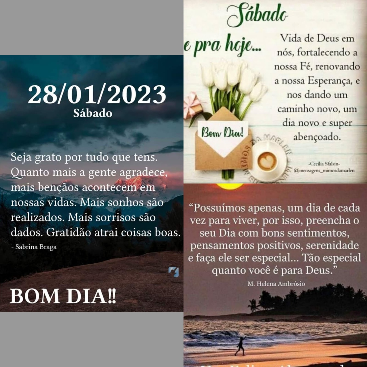 Pensamento do dia