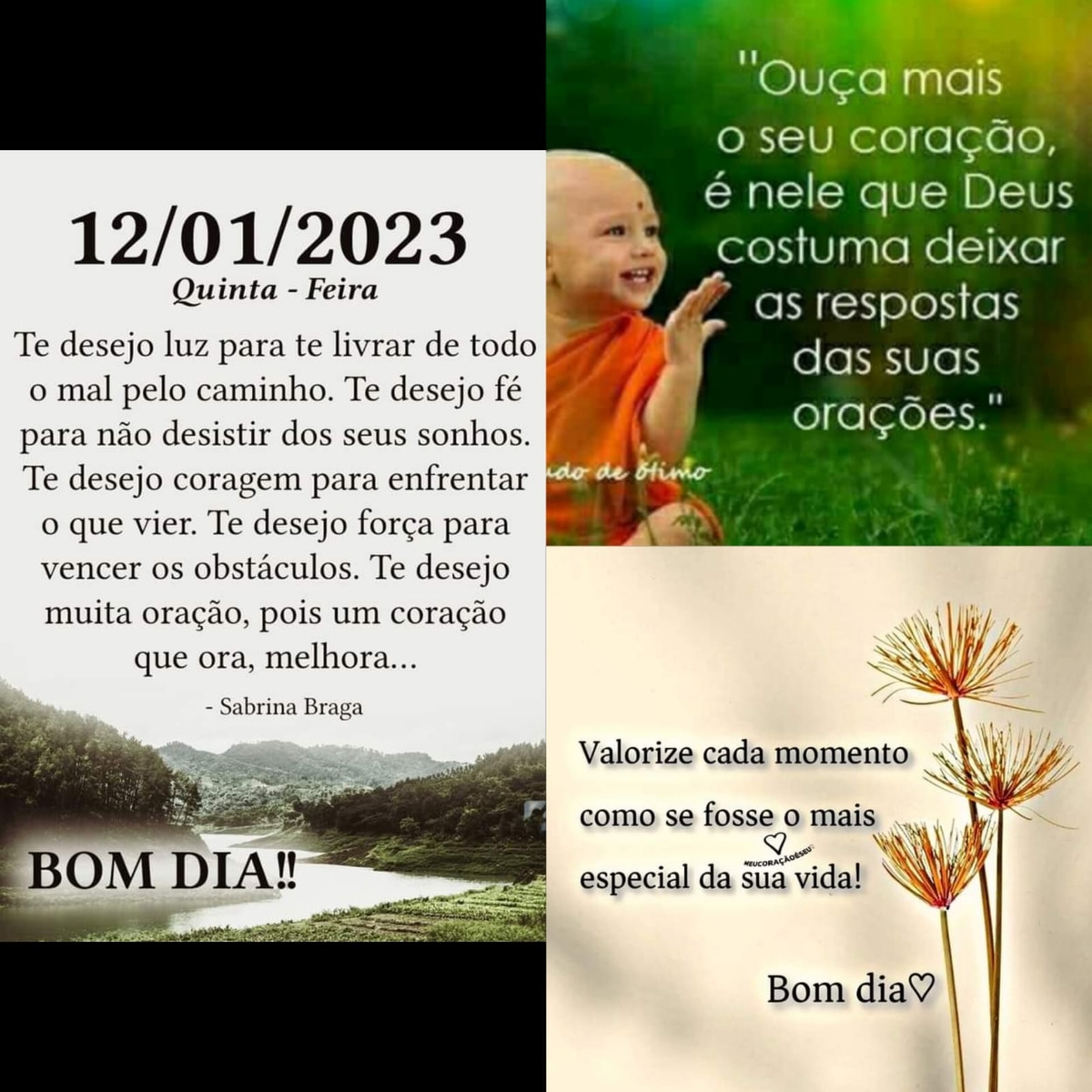 Pensamento do dia