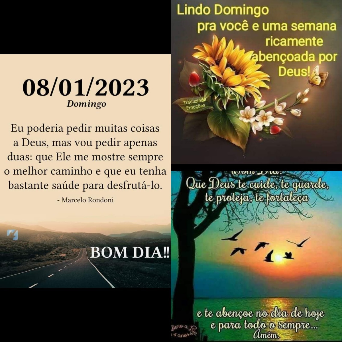 Pensamento do dia