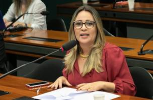 Rejane Dias (Foto: Divulgação/Câmara dos Deputados)