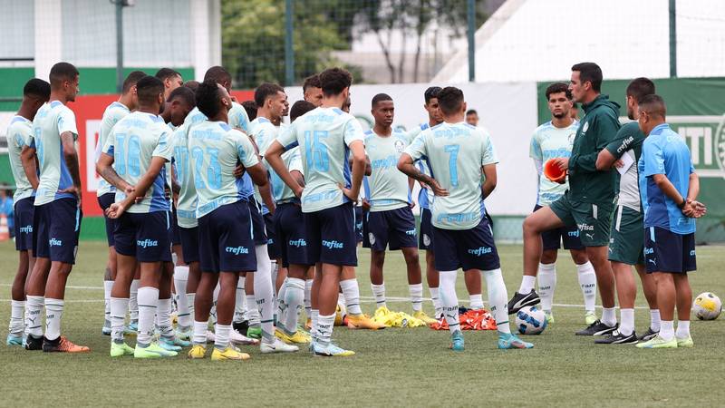 Onde assistir e quem narra Palmeiras x Goiás