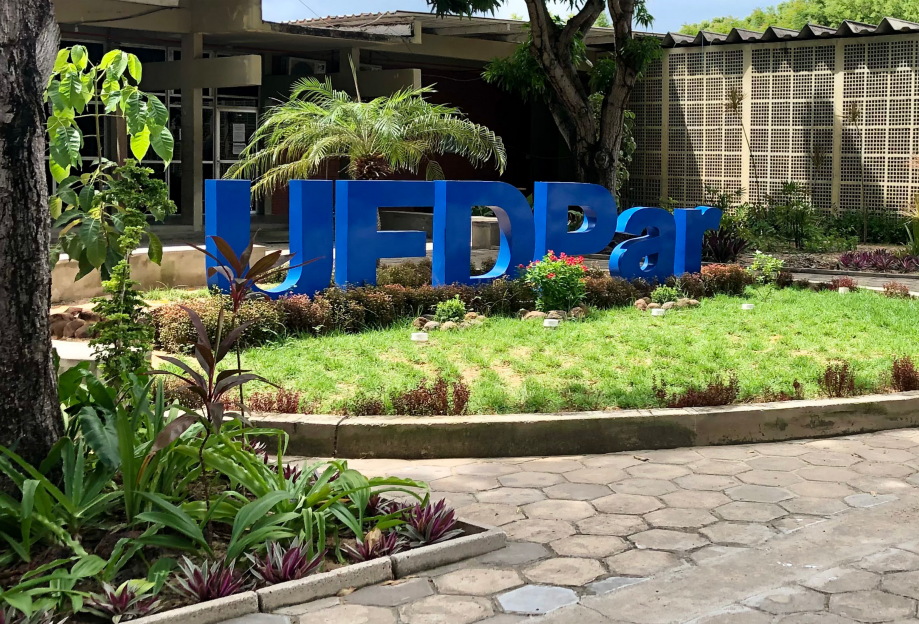UFDPar