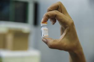 Vacinação contra covid-19 (Foto: Foto divulgação)