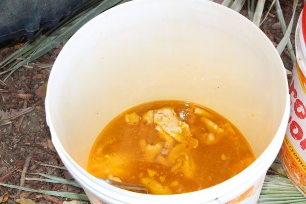 Comida servida aos trabalhadores