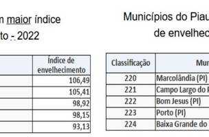 Métrica de etária (Foto: Censo IBGE)