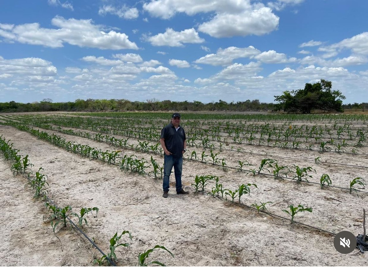 O agricultor Julinho. Ele se admira da plantação de milho. Não é à toa que se diz que nesse Congresso em se plantando tudo dá.