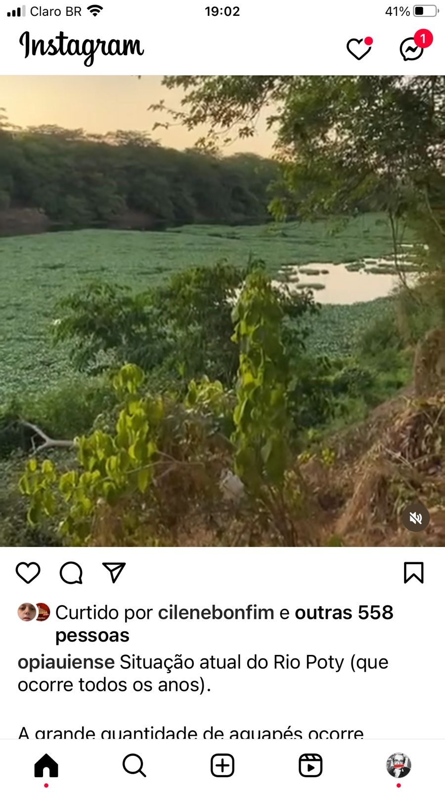 Olha aí o retrato da incompetência de governo e prefeitura. Plantas consomem o oxigênio do rio porta nessa parte contaminada da cidade. E ninguém resolve, ano a ano