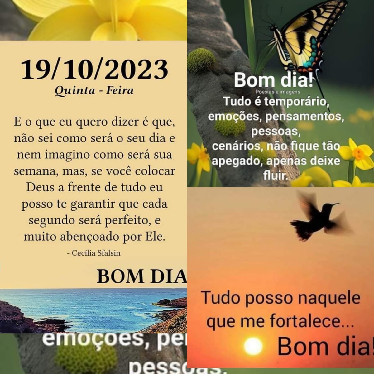 Pensamento do dia