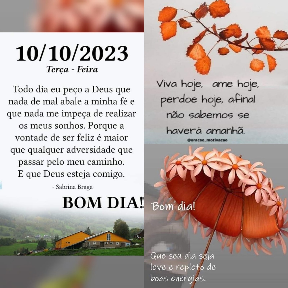 Pensamento do dia