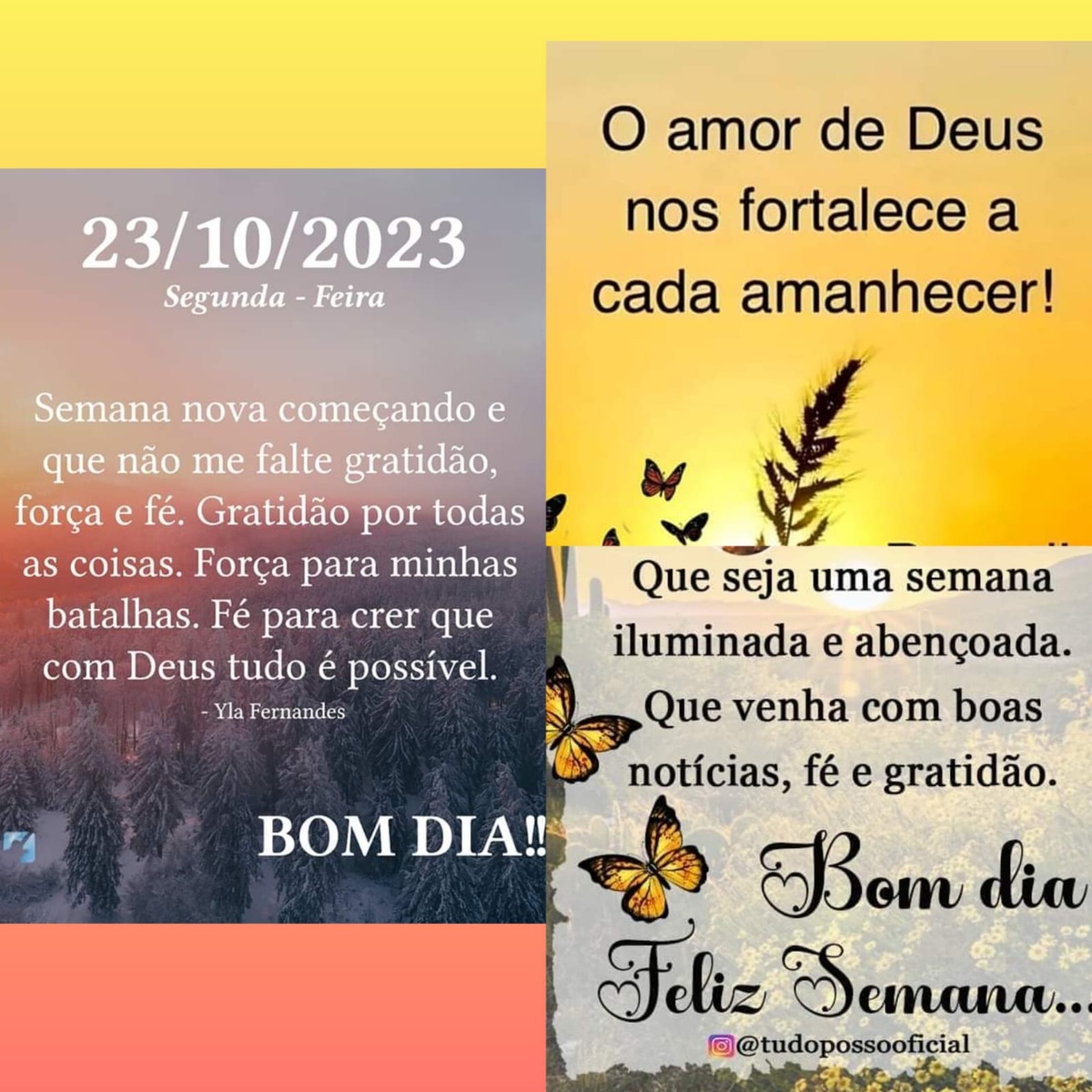 Pensamento do dia