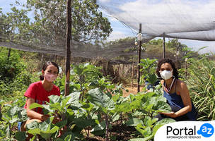 projeto (Foto: Edição do Portal AZ/Reprodução)