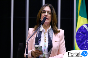 Rogeria santos (Foto: Vinicius Loures/Agência Câmara)