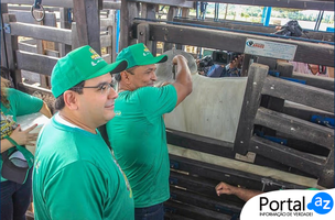 Campanha de Vacinação Contra a Febre Aftosa (Foto: Governo do Piauí/Edição PortalAZ)