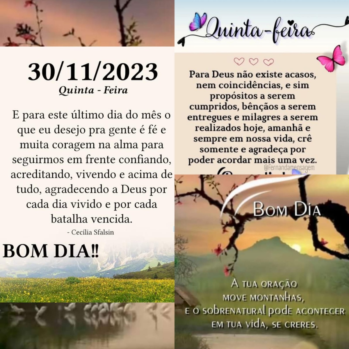 Pensamento do dia