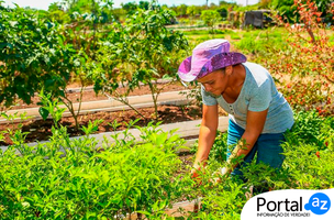 Seguranã Hídrica (Foto: Governo do Piauí)