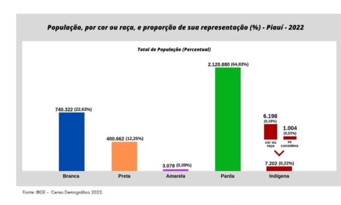 Crescimento da população negra no Piauí