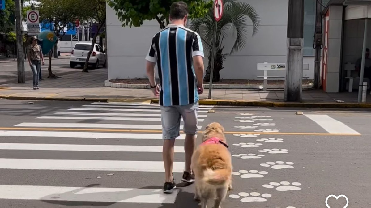 Faixa para cachorro. Cuida Sarapatinhas para os dogs de Teresina terem suas faixas próprias