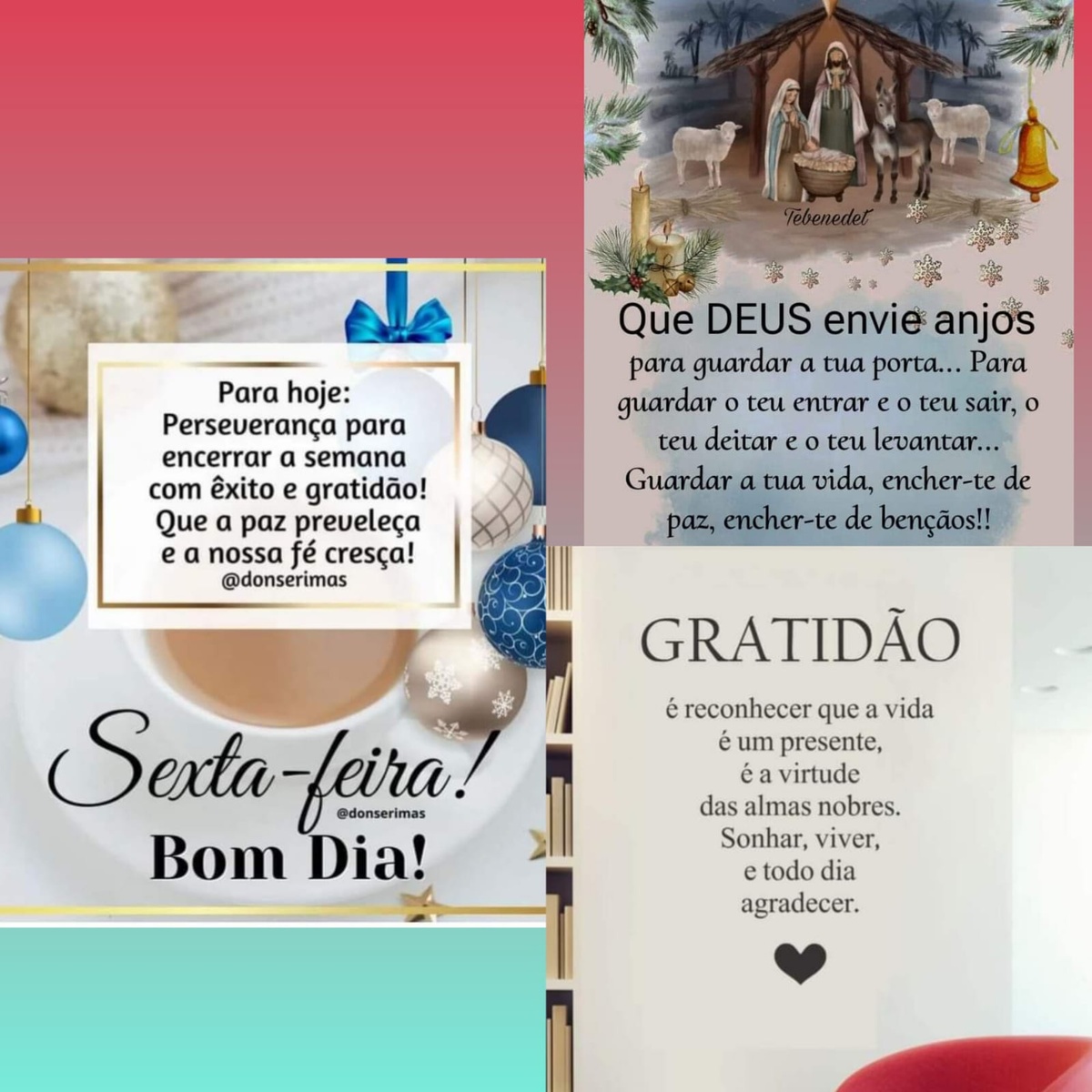 Pensamento do dia