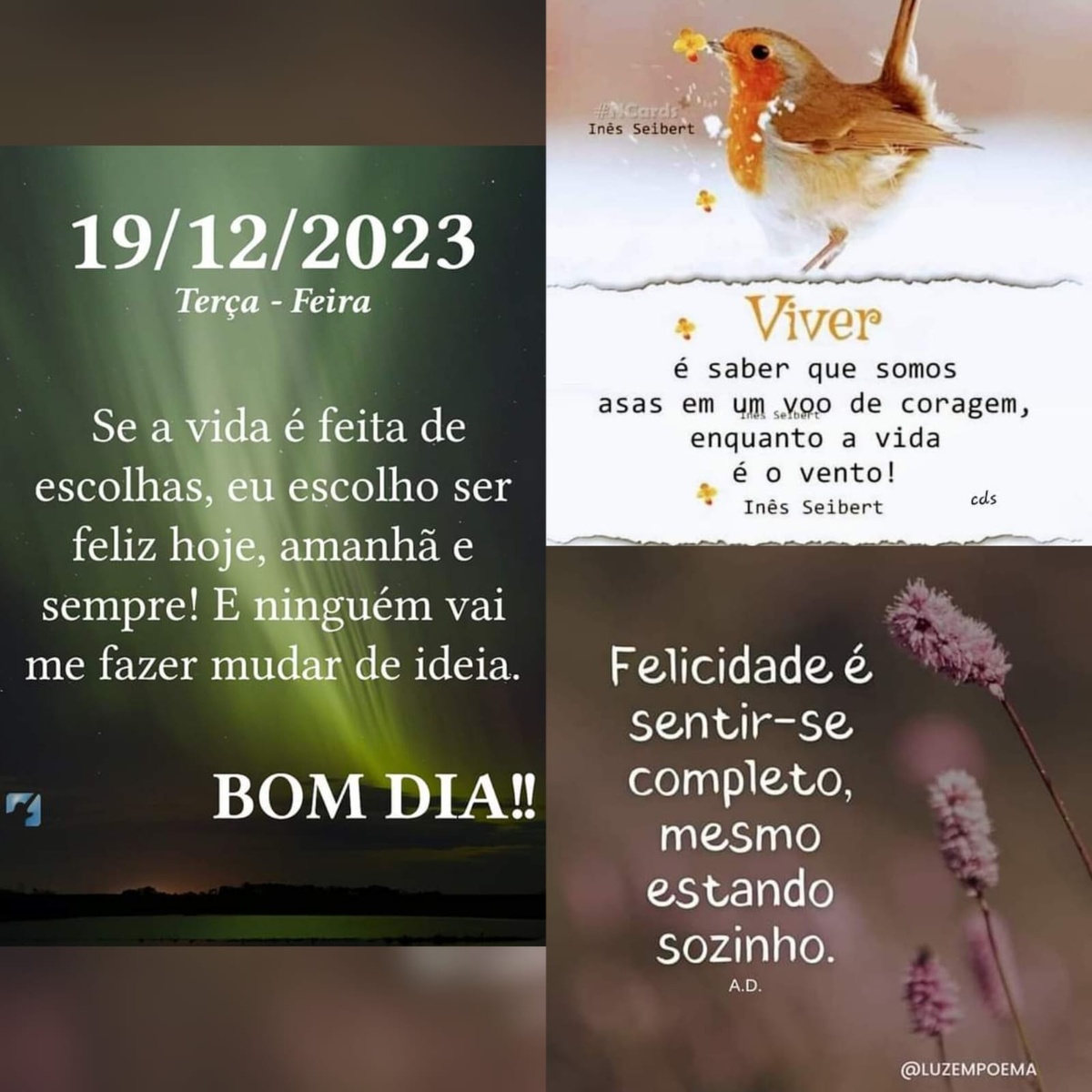 Pensamento do dia