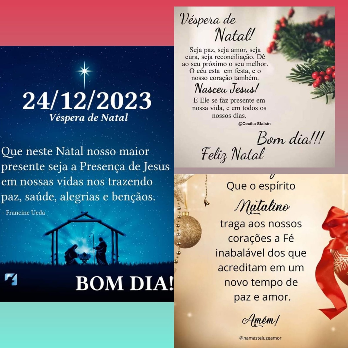 Pensamento do dia