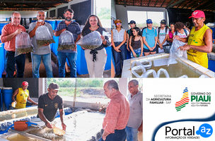 Repovoamento da fauna aquática (Foto: Governo do Piauí)
