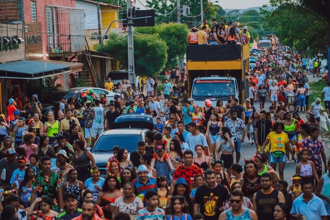Blocos carnavalescos voltam a ocupar ruas e avenidas de Teresina