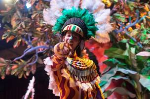 Carnaval (Foto: Reprodução)