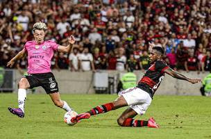 Flamengo (Foto: Marcelo Cortes / Flamengo)