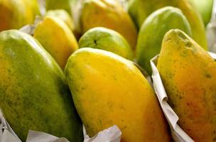 Governo prorroga prazo para cadastro na Agricultura Familiar (Foto: Agência Brasil)