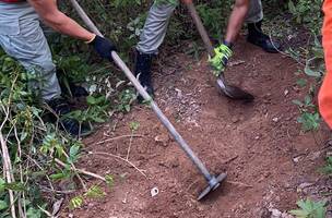 Ossada humana é encontrada em Piripiri (Foto: Reprodução/redes sociais)
