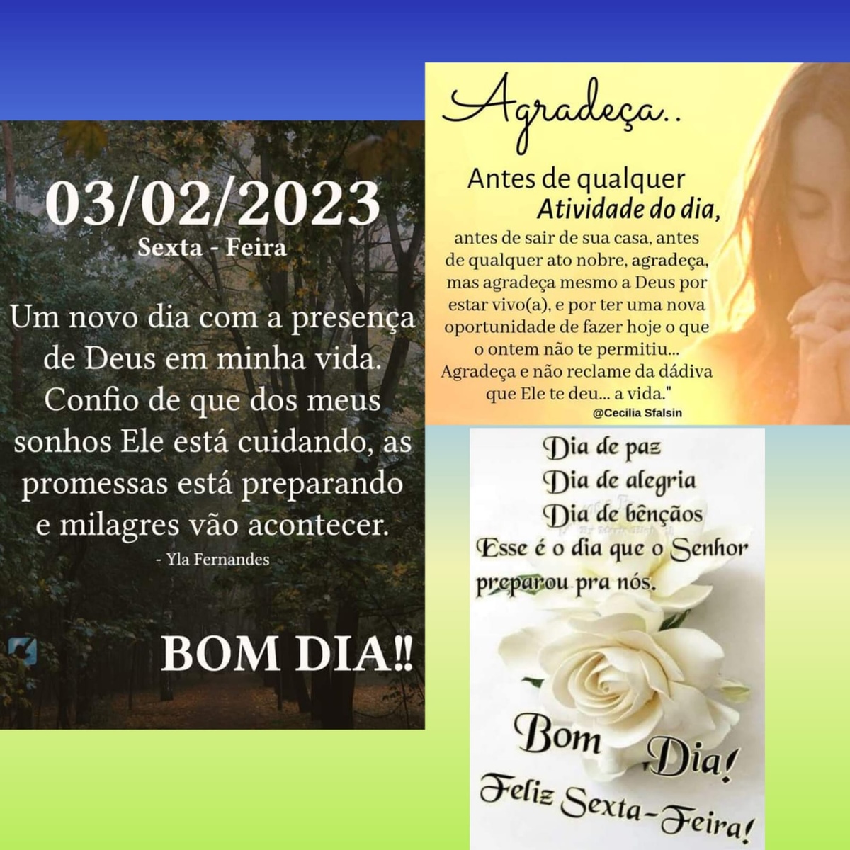 Pensamento do dia