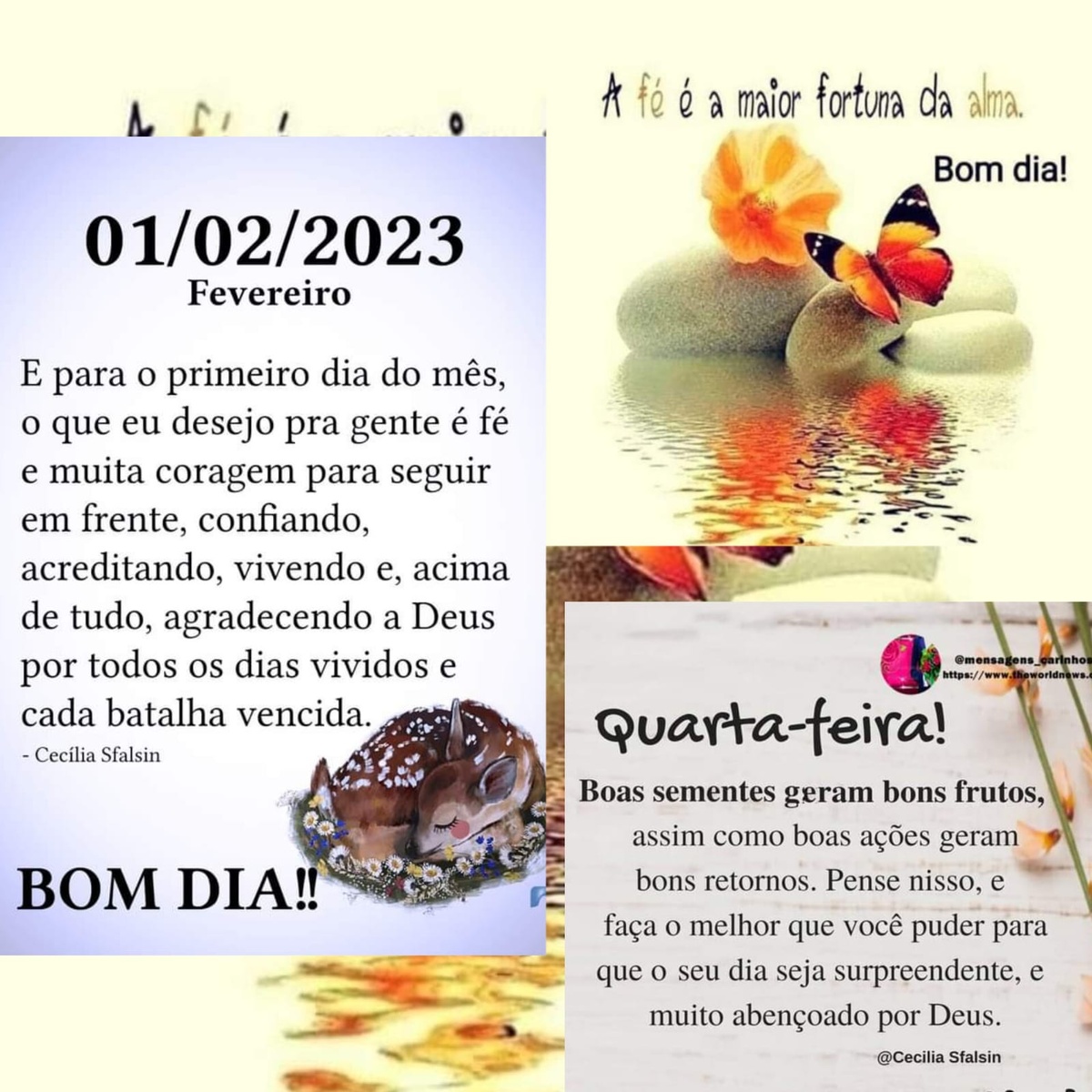 Pensamento do dia