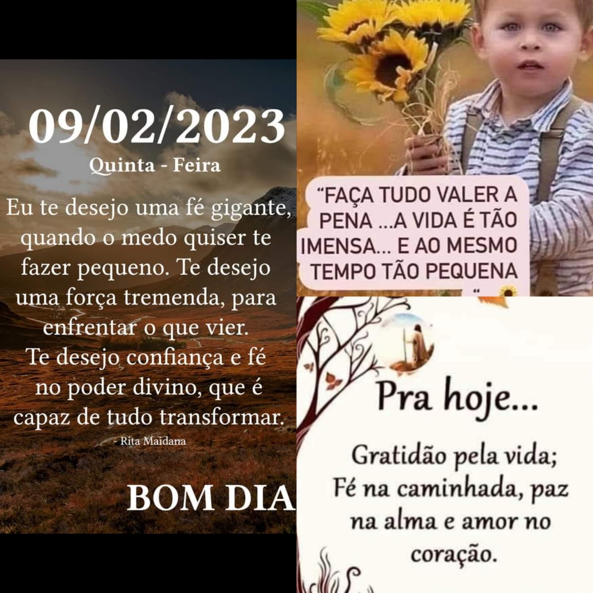 Pensamento do dia