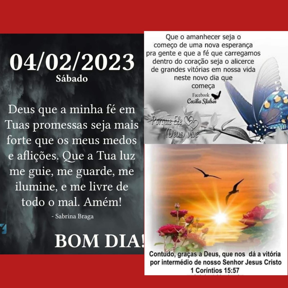 Pensamento do dia