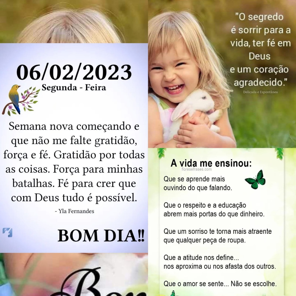 Pensamento do dia