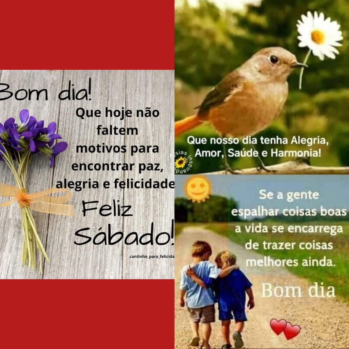 Pensamento do dia
