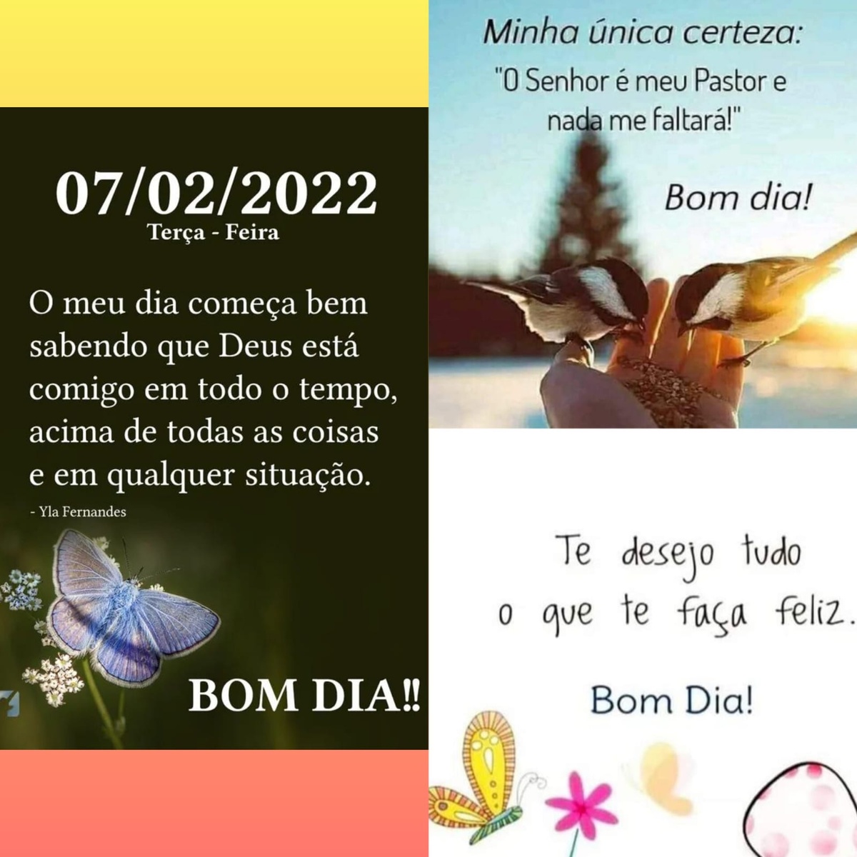 Pensamento do dia