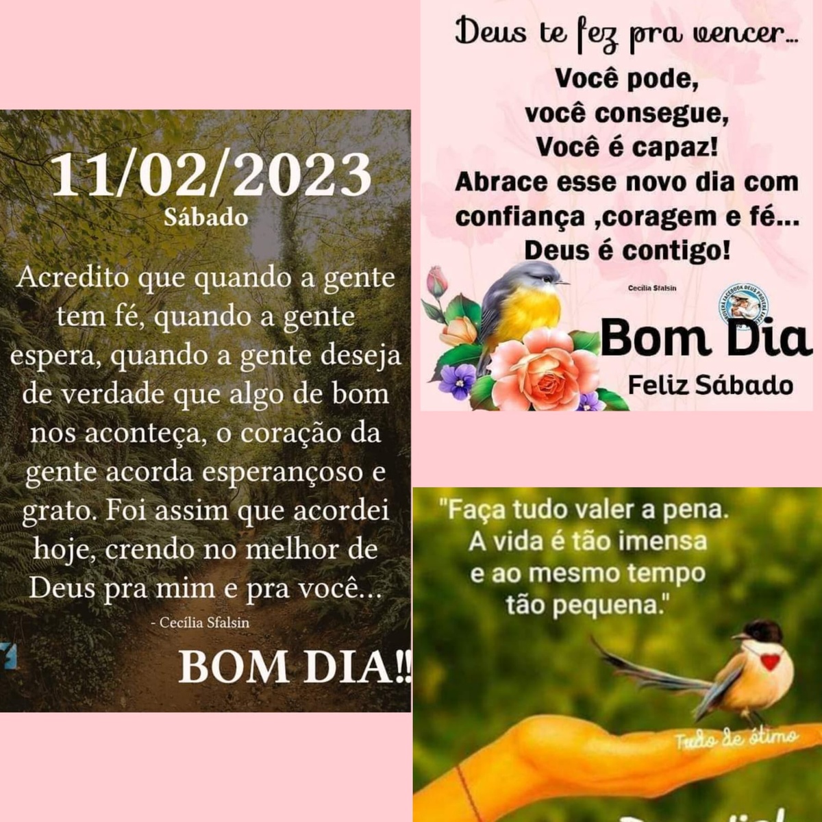 Pensamento do dia