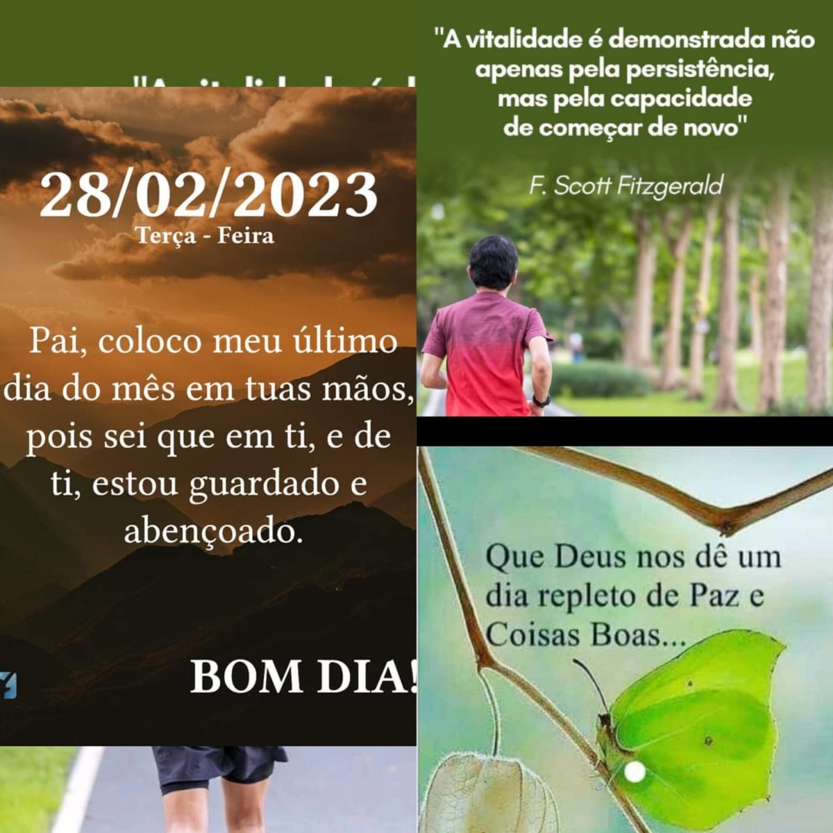 Pensamento do dia